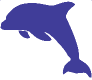 Blue Dolphin Integrative Healing Gift Card