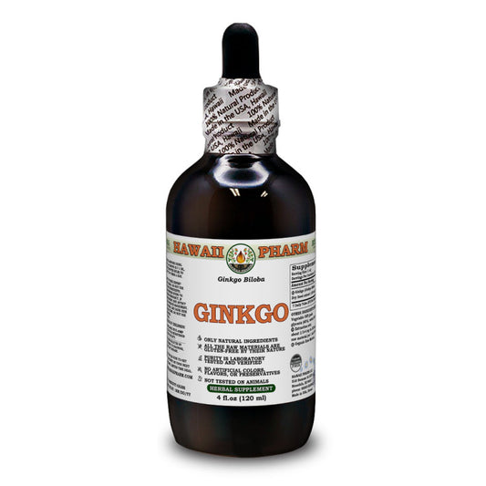 Ginkgo Liquid Extract, Dried seed (Ginkgo Biloba) Alcohol-Free Glycerite
